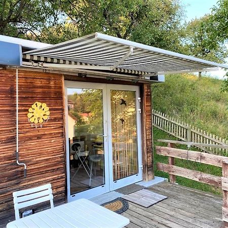 Tiny House Mit Klima Und Heizung, In Idyllischer Ortsrandlage Iba Dış mekan fotoğraf