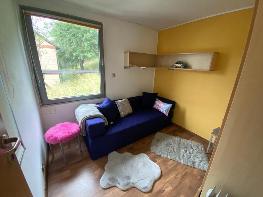 Tiny House Mit Klima Und Heizung, In Idyllischer Ortsrandlage Iba Dış mekan fotoğraf
